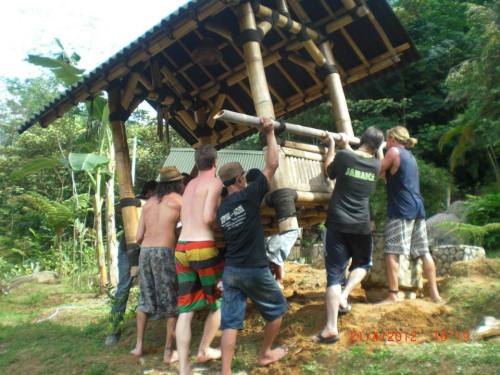 bamboo village kuala lumpur volunteers wwoofers